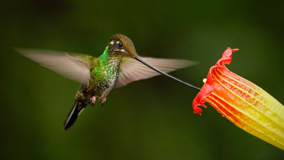 Let nature inspire your business